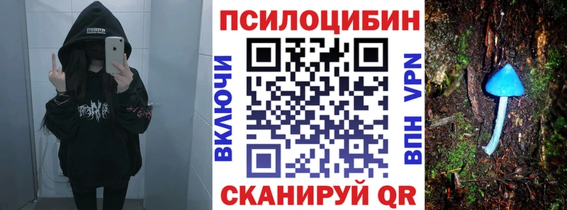 магазин  наркотиков  Кизел  гидра ССЫЛКА  Галлюциногенные грибы Magic Shrooms 